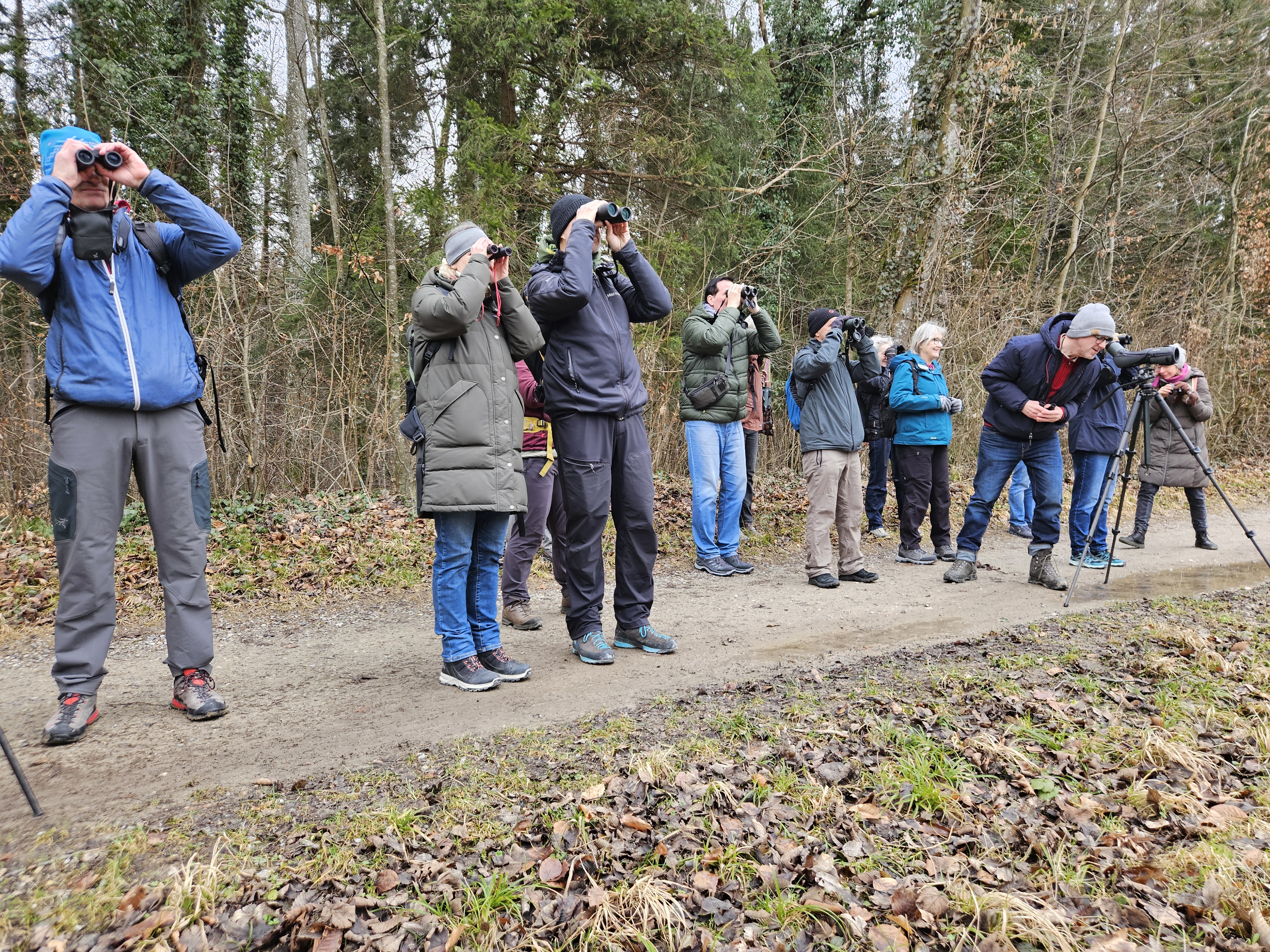 BirdLife Töss-Tössfeld Exkursion