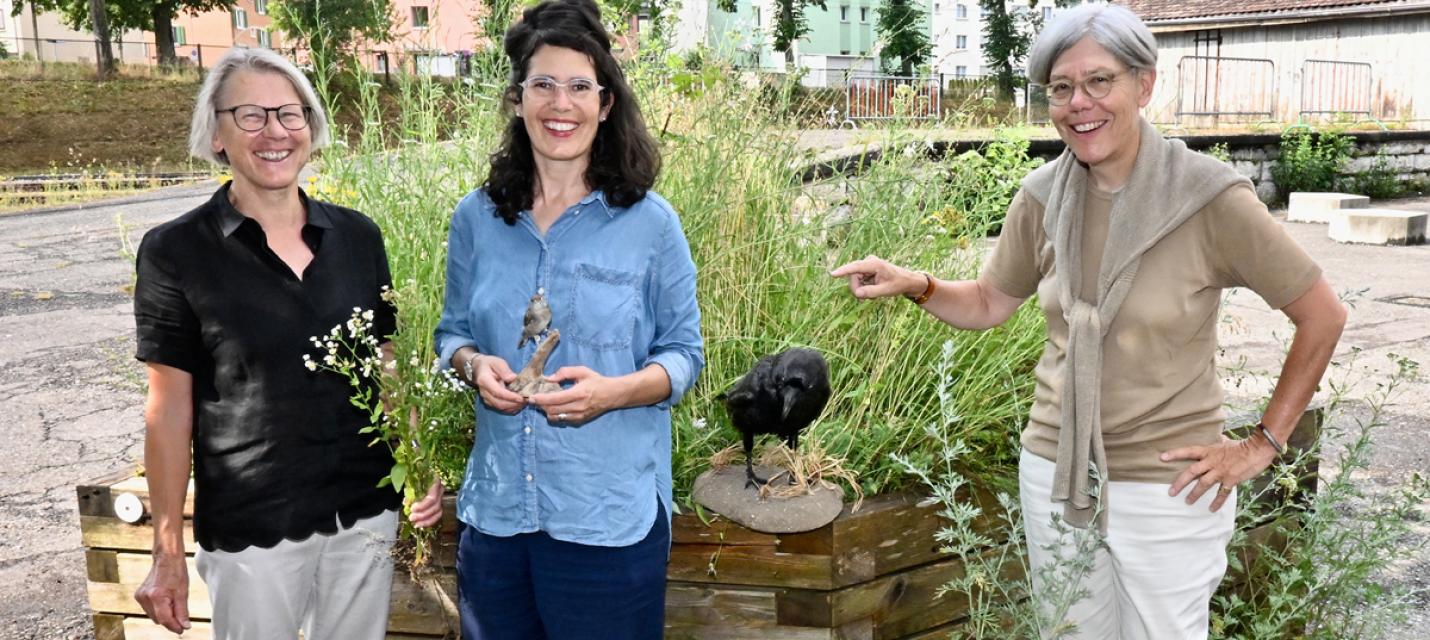 Regula Forster, Sonja Bächi, Karin Salm