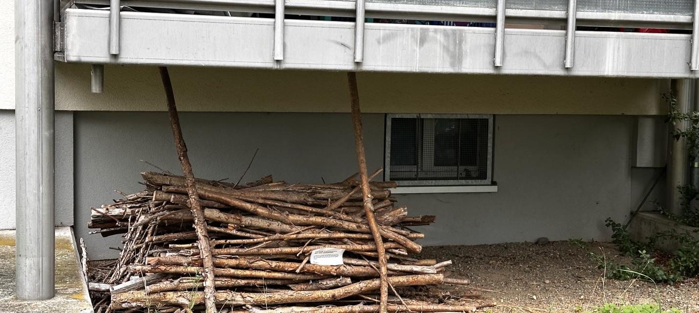 Aufgehäufte Äste am Boden, überdeckt von einem Balkon